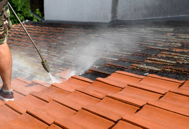 Best Roof Pressure Washing  in Charlotte, TX